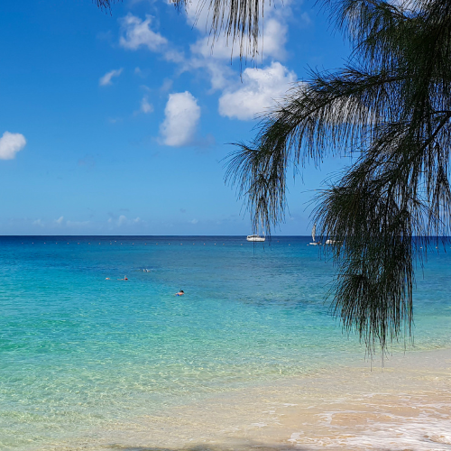 Bajan Bliss: A Symphony of Luxury in Barbados with Plum Guide